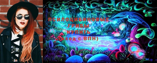 эйфоретик Лабытнанги