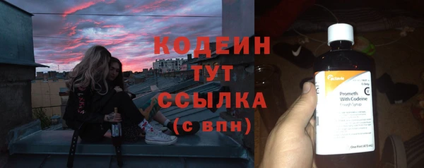 индика Лагань