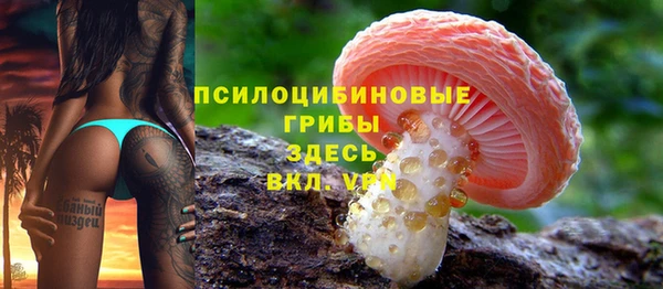 трава Ладушкин