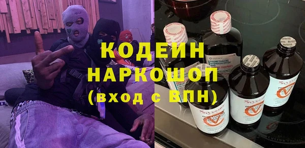 индика Лагань