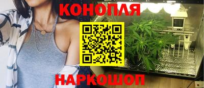 прущие крисы Моздок
